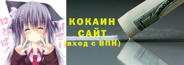 соль ск Алексин