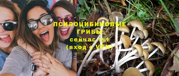 соль ск Алексин