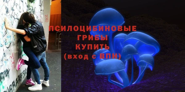 прущий лед Алексеевка