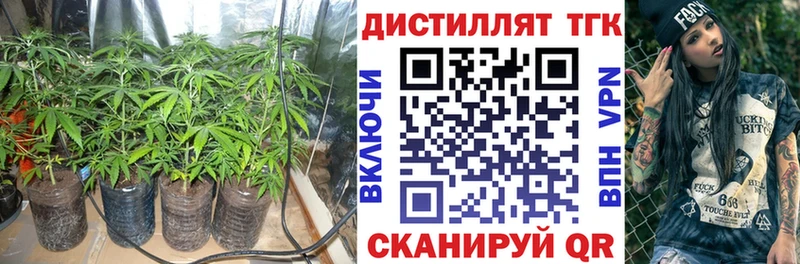 ТГК гашишное масло  как найти   мега ТОР  Котлас 